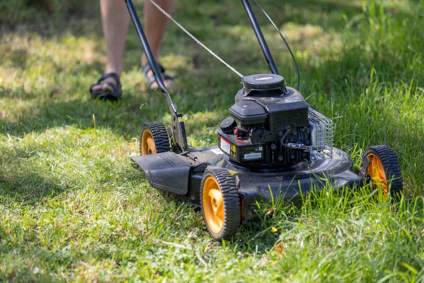 The Ultimate Guide to Garden Equipment